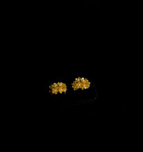 Load image into Gallery viewer, Floral Whispers